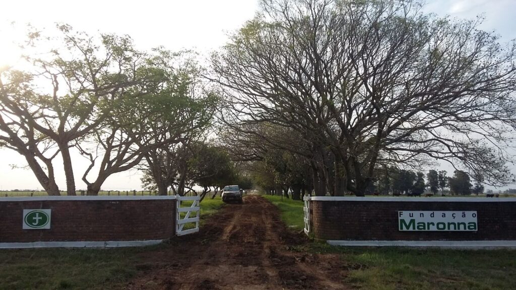 assembleia fundação maronna alegrete